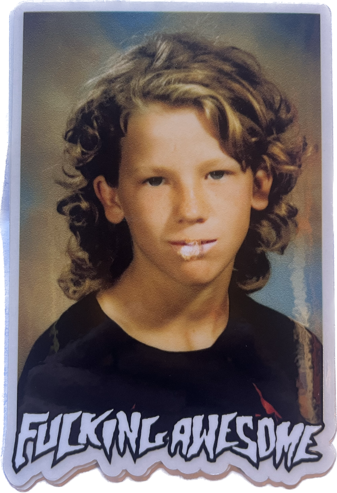 FA Fucking Awesome Class Photo Stickers Assorted 5.5" X 4"