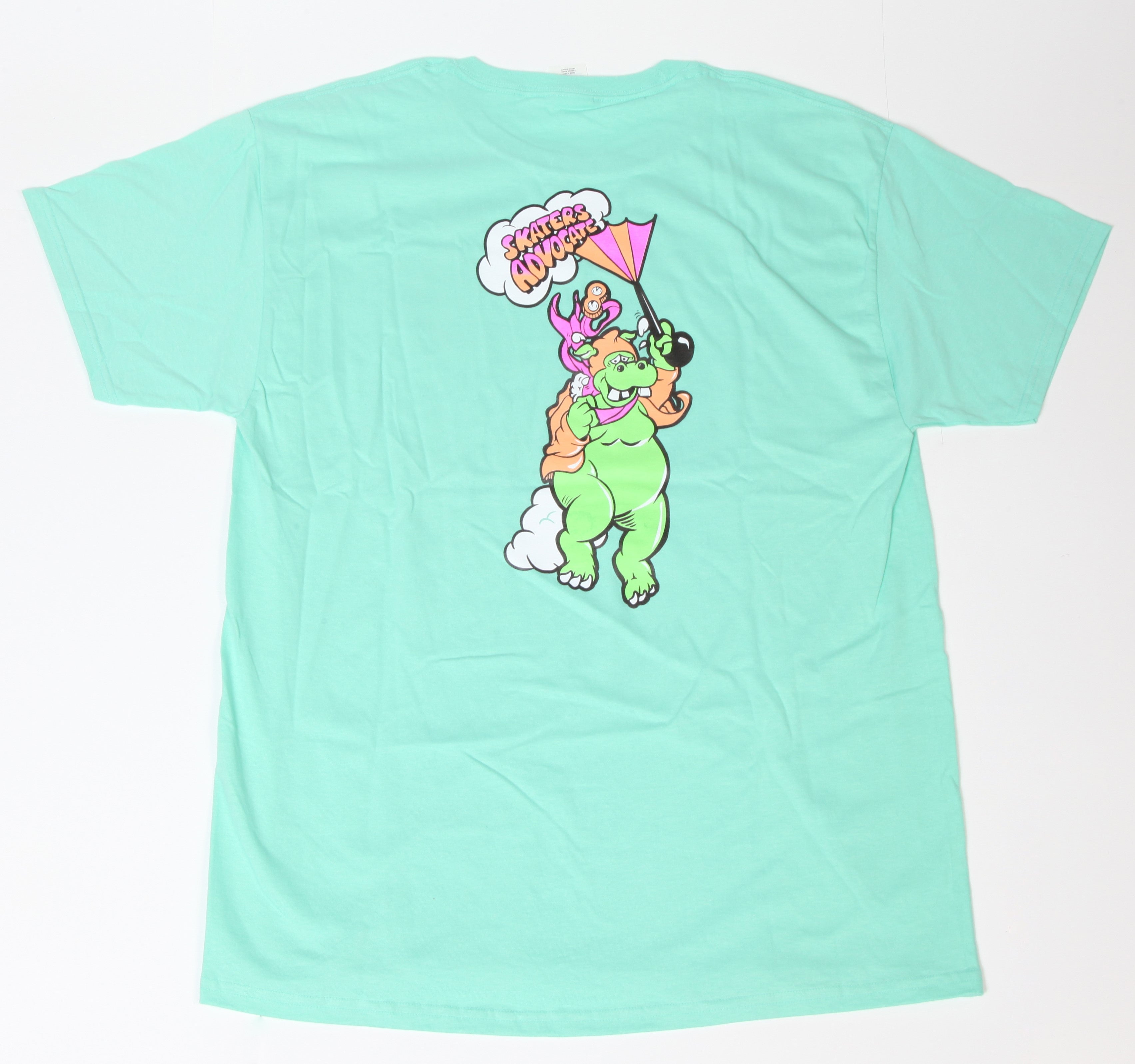 Skaters Advocate No More Rainy Days Tee Shirt Color-Mint